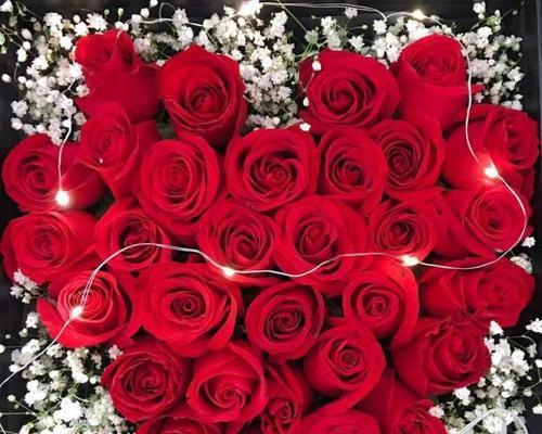 哪种花寓意表白成功？表白时选择什么花最合适？