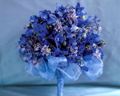 蓝色捧花代表什么含义？蓝色捧花的象征意义是什么？