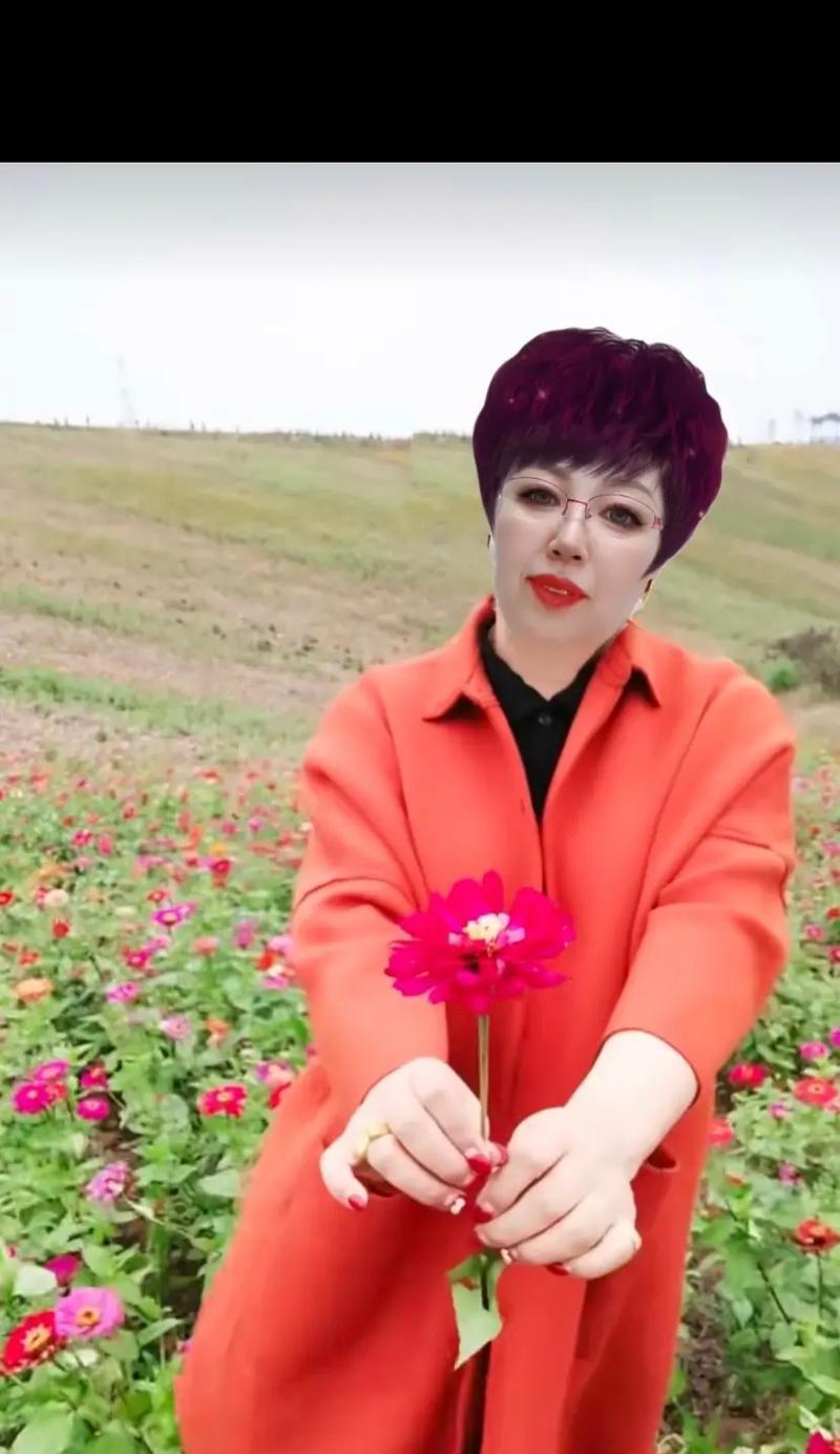 南瓜花是否象征着吉祥？