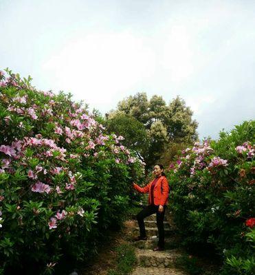 咏花寨的历史背景是什么？它有何特殊意义？
