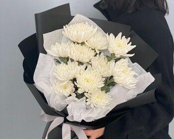 清明节送白色花的寓意是什么？白色花的象征意义有哪些？