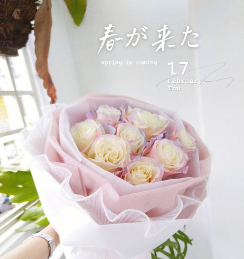 三色极光花的寓意和花语是什么？