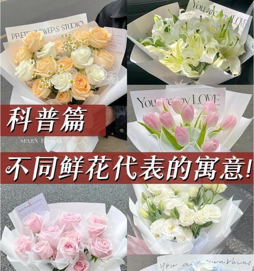 象征着祝福的花有哪些？它们各自代表什么含义？