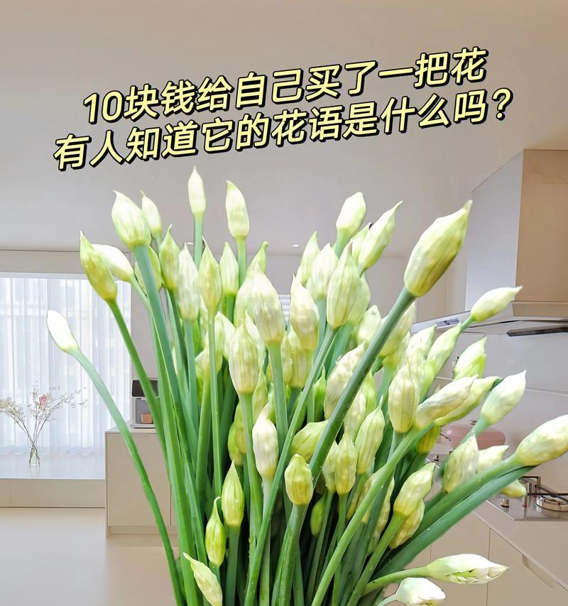 声色花语是什么意思？它在花语中代表什么？