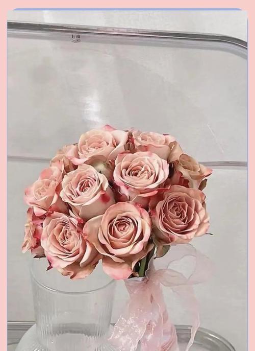 小而贵的手捧花有何寓意？它象征着什么？