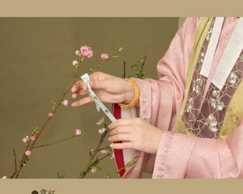 壮族花朝节有什么寓意？花朝节的意义是什么？