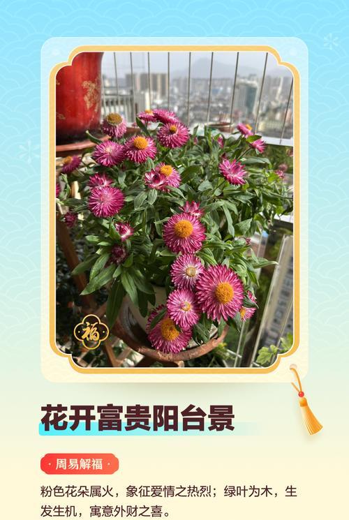 哪些花象征着爱情和福气？