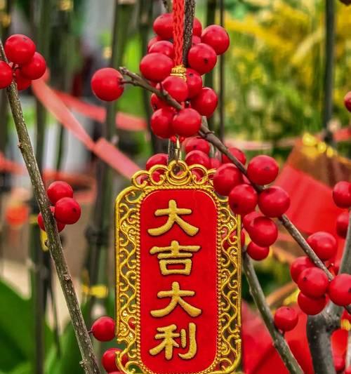 春节适合摆放哪种花？春节花卉的寓意有哪些？