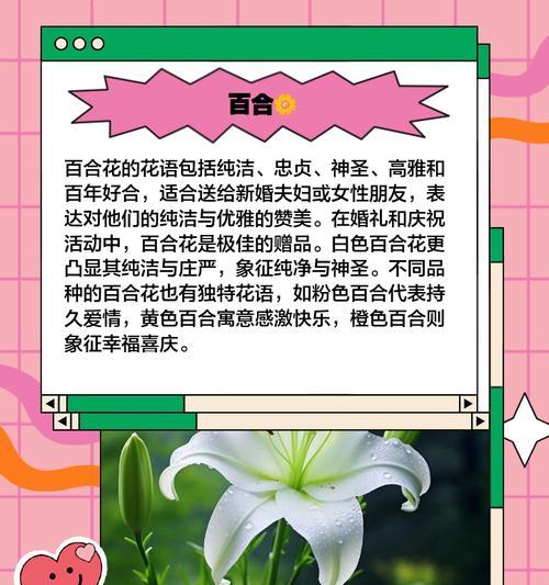 什么植物或花寓意爱情？如何选择寓意爱情的植物或花？