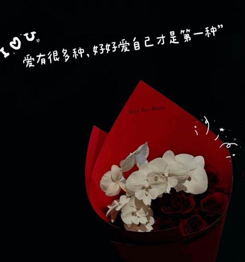 绛色玫瑰代表了什么？它的花语有哪些特别之处？
