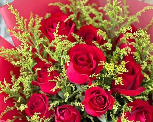 红色玫瑰花12朵代表什么？它的特殊含义是什么？