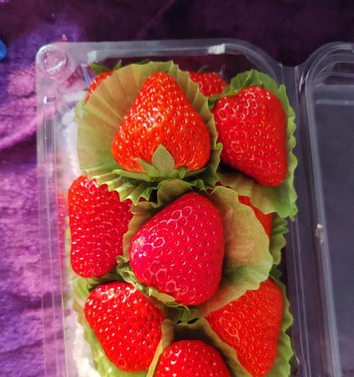 红色招牌代表了哪种花？这种花的寓意是什么？