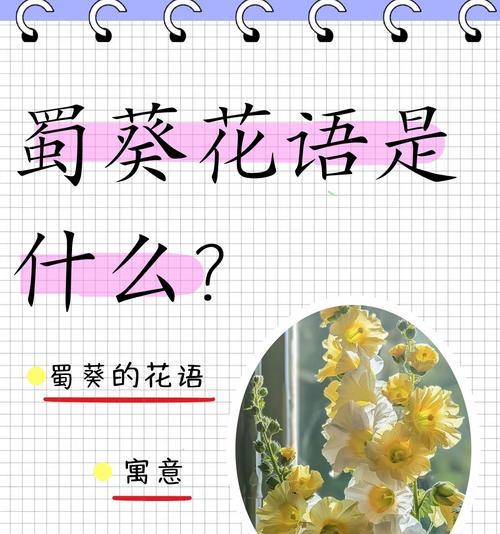 每种颜色的花都有什么特别的寓意？