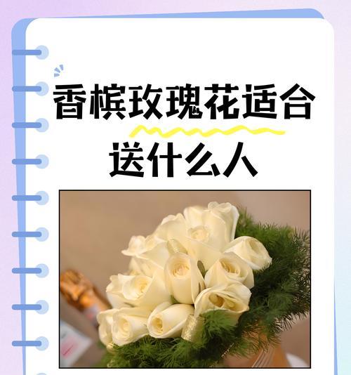 白色玫瑰花送给老公有何寓意？它代表什么？