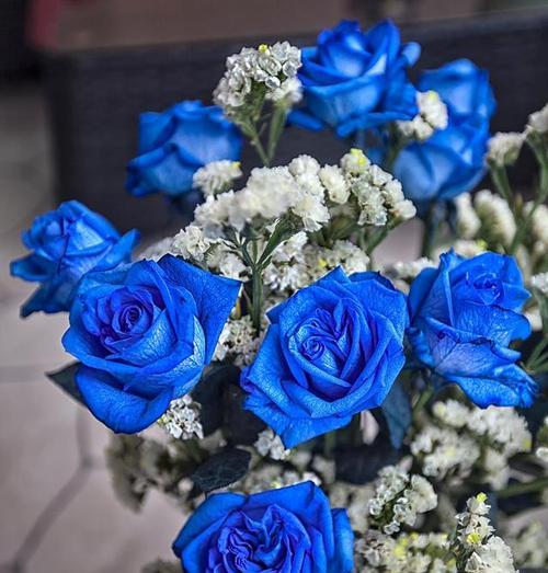 哪种蓝色的花象征希望？蓝色花中代表希望的是哪一种？