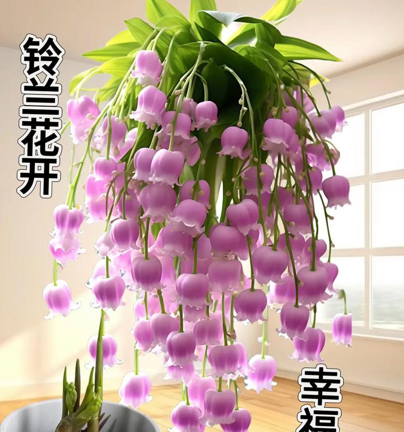 哪种花象征胜利希望和幸福？胜利花语的花是什么？