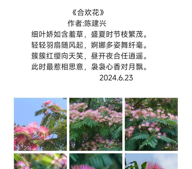 花的诗句如何表达平安？花的诗句中有哪些平安的寓意？