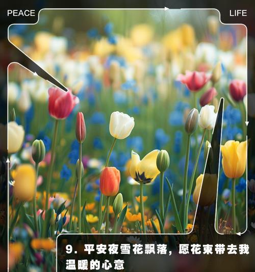 几束花代表平安的意义是什么？