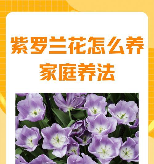 节哀的花有什么寓意是什么？在悼念场合中通常选择什么花？