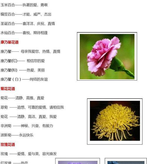探究葡萄炭疽病的发病与治疗（从发病原因到治疗方法，全面了解葡萄炭疽病）