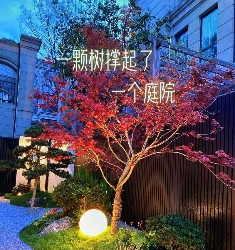 庭院种橘子树的好处（打造属于自己的小果园）