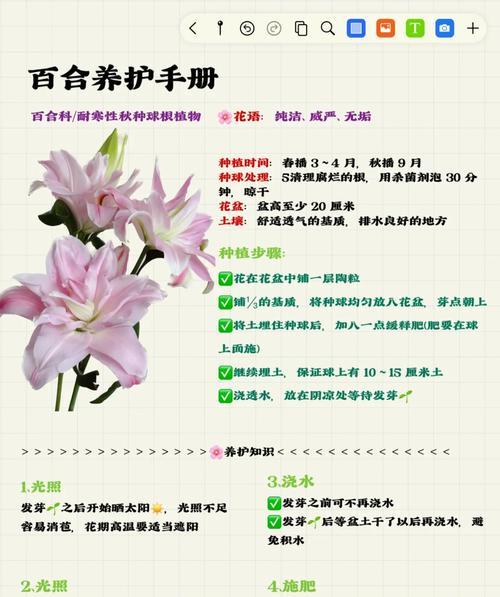 百合丽多肉的养护方法（如何让你的百合丽多肉长得更茂盛？）