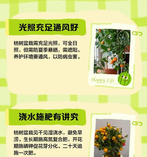 桔子树肥料施用指南（什么时候施肥？该用什么肥料？）