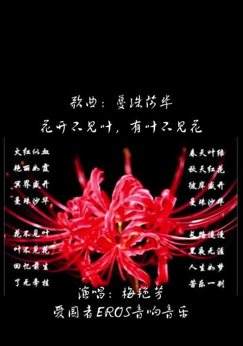 白彼岸花的寓意与象征（一朵富有哲理的白色花卉，代表着生命、死亡和重生）