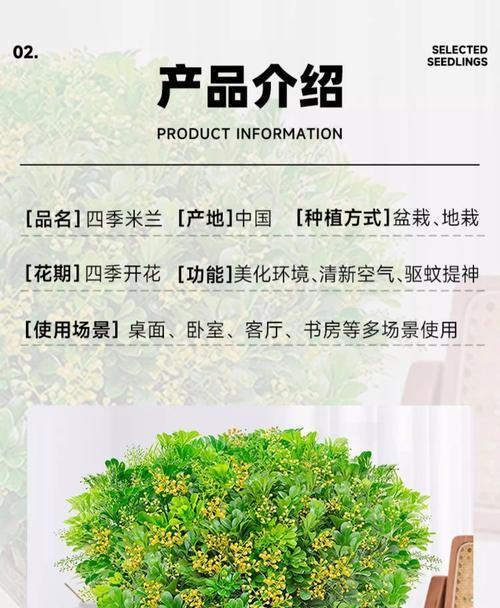 盆栽米兰的养殖方法和注意事项（从选苗到管理，打造美丽生态家园）