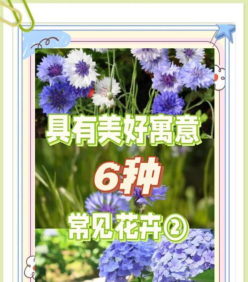 探秘金丝楠木的生长环境（金丝楠木生长地、气候和土壤分析）