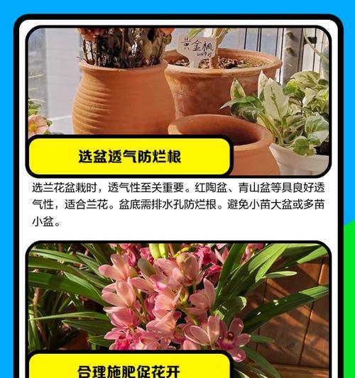 兰花移植的时间和方法掌握技巧（成败在此一举，养花达人必看！）