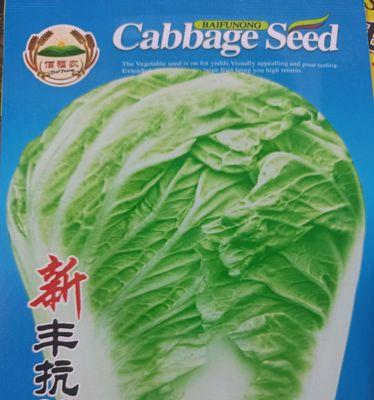 白菜成熟季节及种植技巧（冬季是白菜丰收的最佳时期，如何种植白菜才能获得高产？）