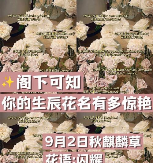 虞美人最佳播种时间及栽培技巧（探秘虞美人的生长习性和栽培要点，助你轻松培育出美丽花朵）