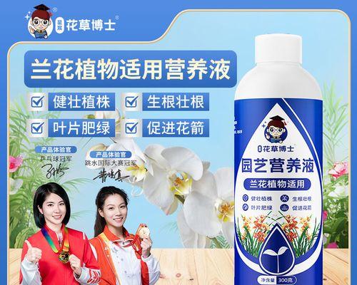 墨兰的种植方式——水培与土培的优劣比较