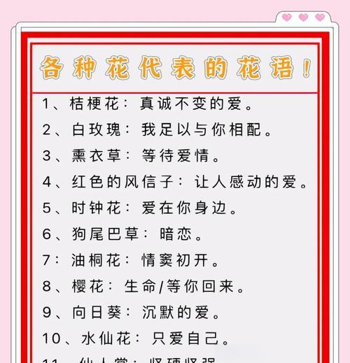谢召兰花的养殖方法（打造美丽家园的秘诀）