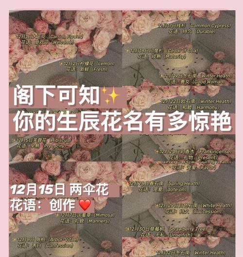 谢召兰花的养殖方法（打造美丽家园的秘诀）