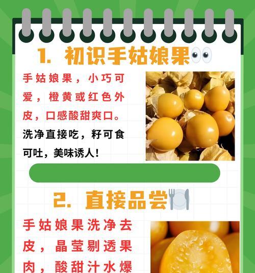 如何收集和保存姑娘果种子？（教你步步为营，让你轻松拥有纯正的姑娘果种子！）