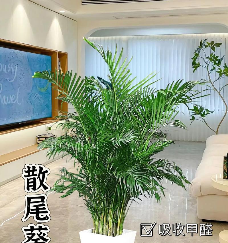 凤尾竹的浇水周期（掌握凤尾竹的浇水技巧，让您的凤尾竹茁壮成长）