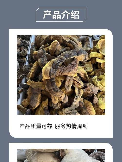 灵芝与树舌的区别（灵芝和树舌的特点及功效比较）