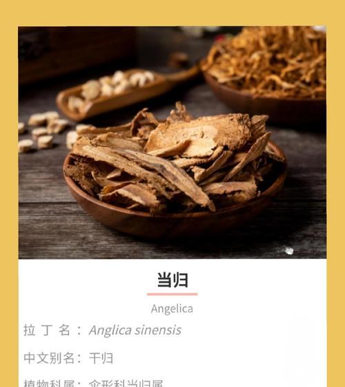 当归的生长环境及生长地方条件（了解当归的适宜生长条件，让你种植更成功）