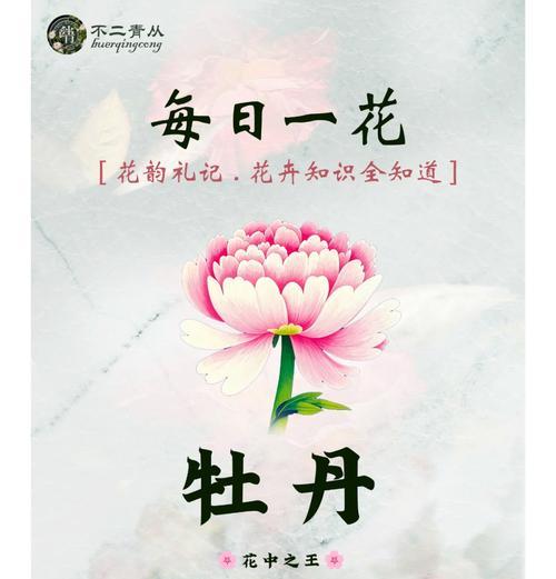 牡丹——中国传统文化中的尊贵象征（解析牡丹在不同时期的象征意义与文化价值）
