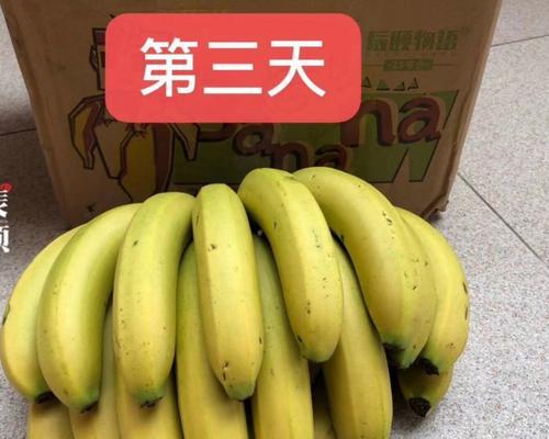 广东香蕉成熟时间及采摘方法（了解香蕉成熟的秘密，品尝最佳口感）