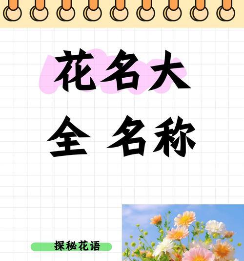 黄小米产地优选指南（探寻黄小米最佳产地，品味美食的魅力所在）
