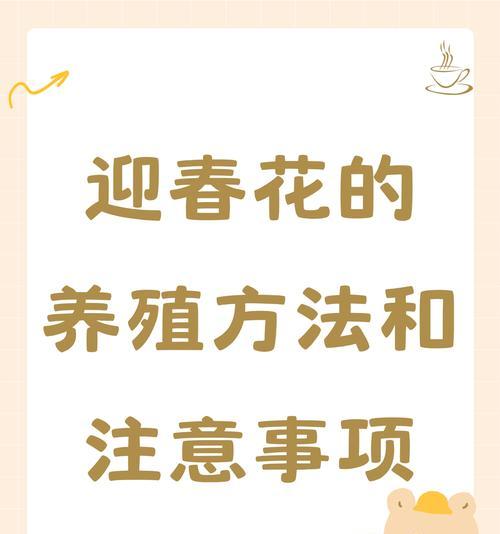玉兰花的养殖方法和注意事项（打造美丽庭院的必备花卉，玉兰花的关键要素！）
