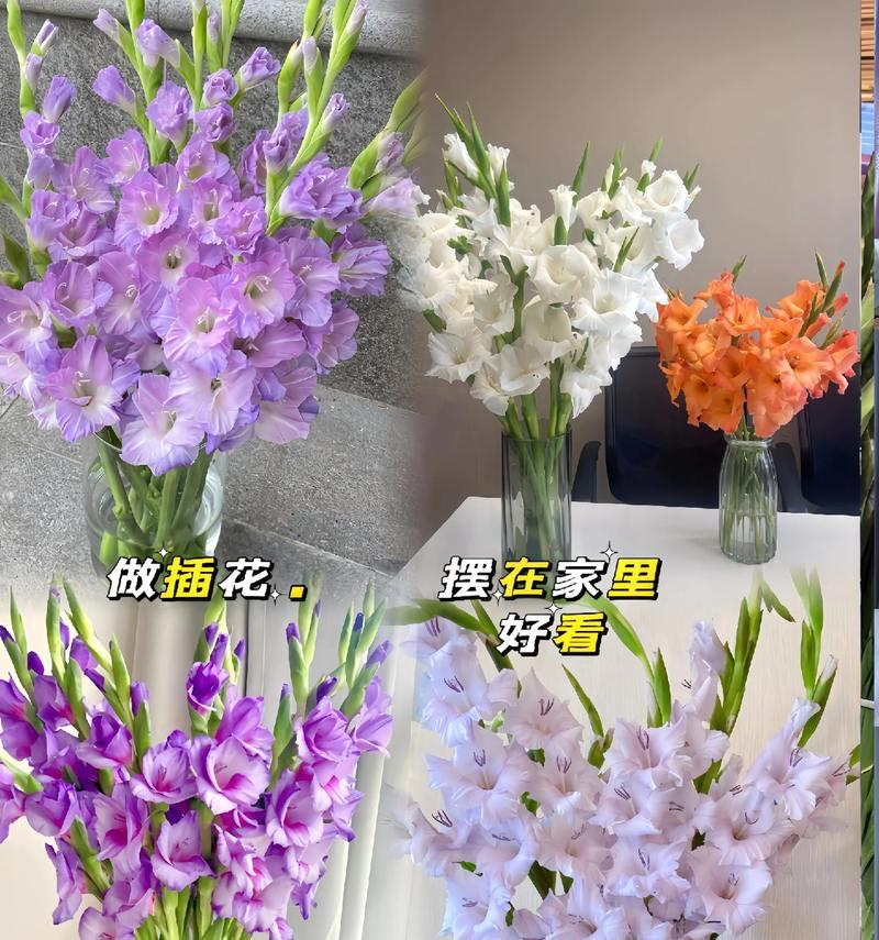 玉兰花的养殖方法和注意事项（打造美丽庭院的必备花卉，玉兰花的关键要素！）