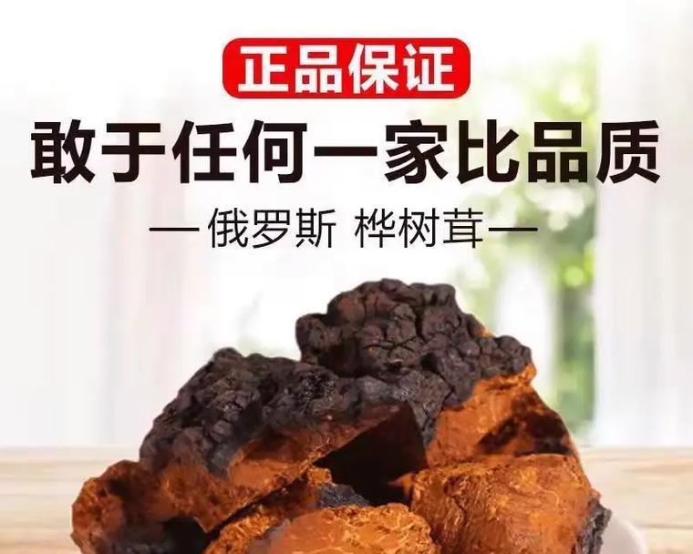 白桦茸的功效与作用（强化免疫、滋阴润肺、预防癌症）