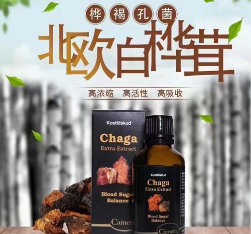 白桦茸的功效与作用（强化免疫、滋阴润肺、预防癌症）
