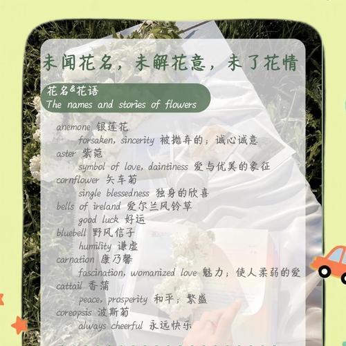 君迁子下山桩的养护方法（打造美丽城市的必备技巧）