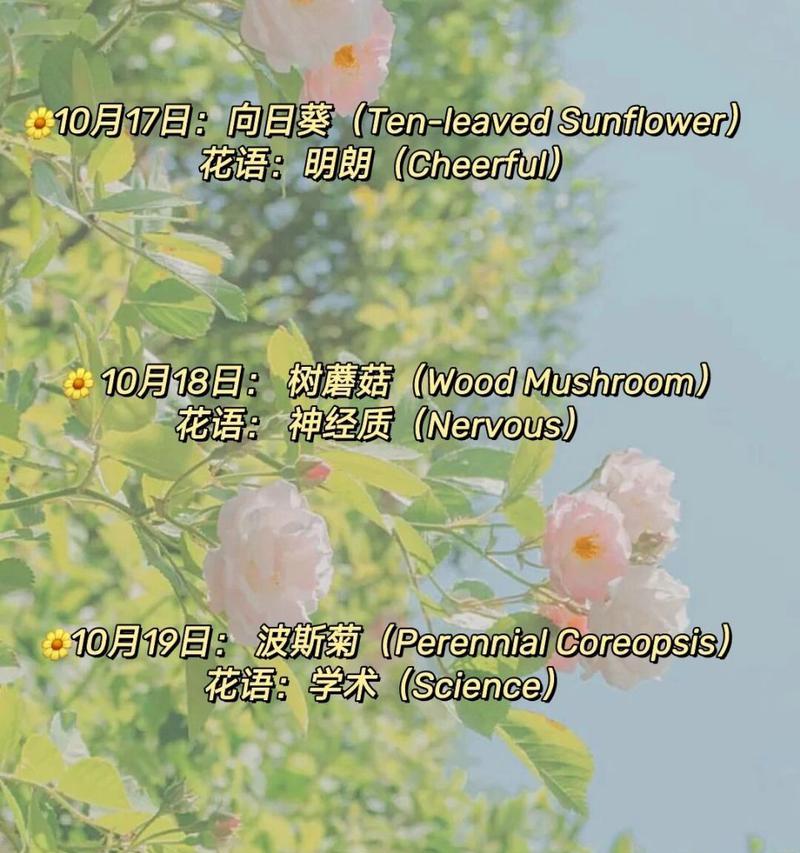 黄花菜种植技巧（从时间到方法，学会正确种植黄花菜）