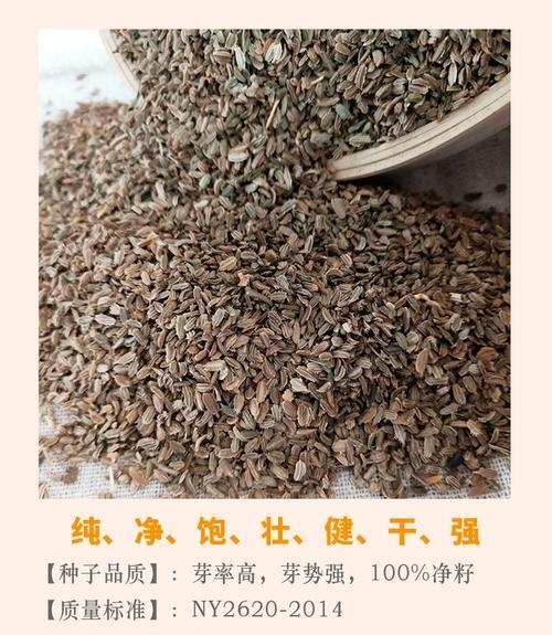 胡萝卜种子发芽出苗的时间剖析（胡萝卜种子发芽出土需要几天？种子发芽的关键因素是什么？）